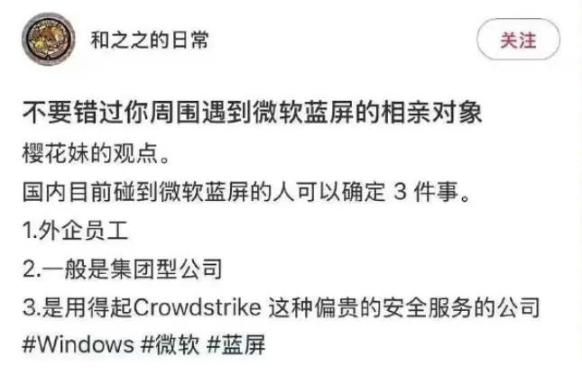 Word文档图片