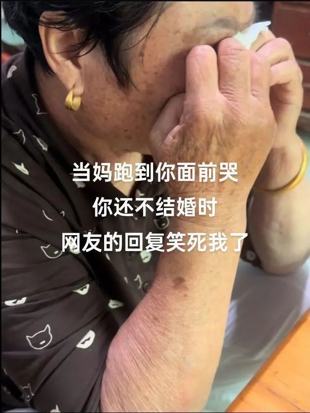 Word文档图片