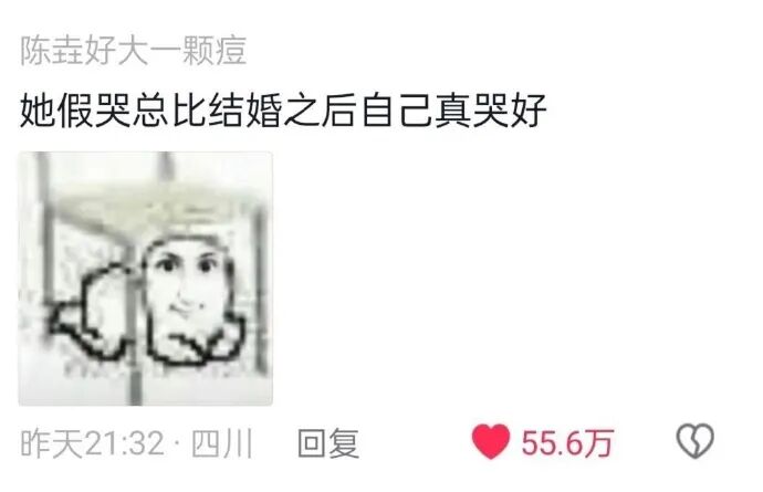 Word文档图片