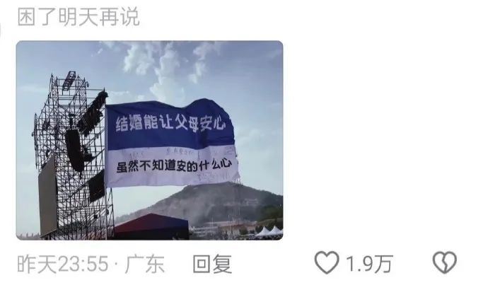 Word文档图片