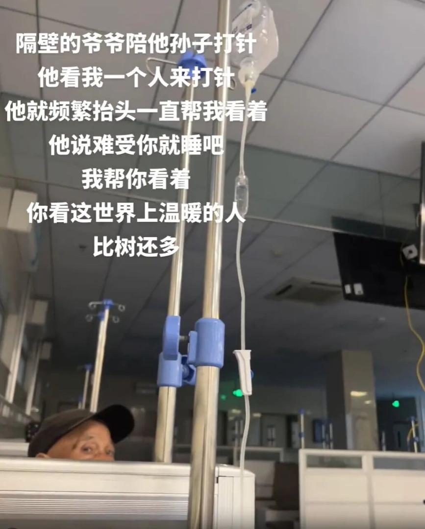 Word文档图片