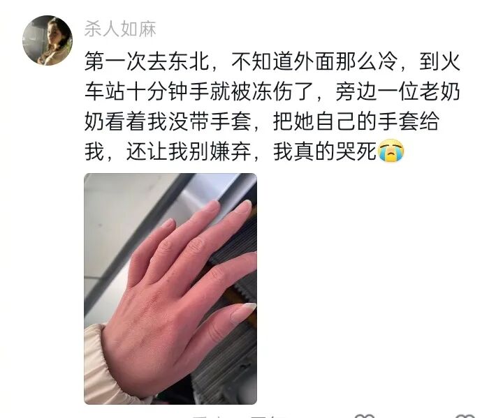 Word文档图片