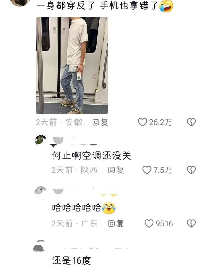 Word文档图片
