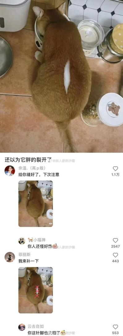Word文档图片