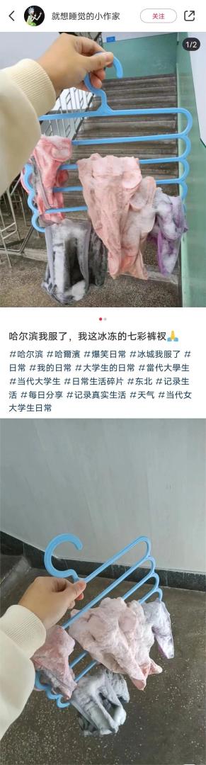 Word文档图片