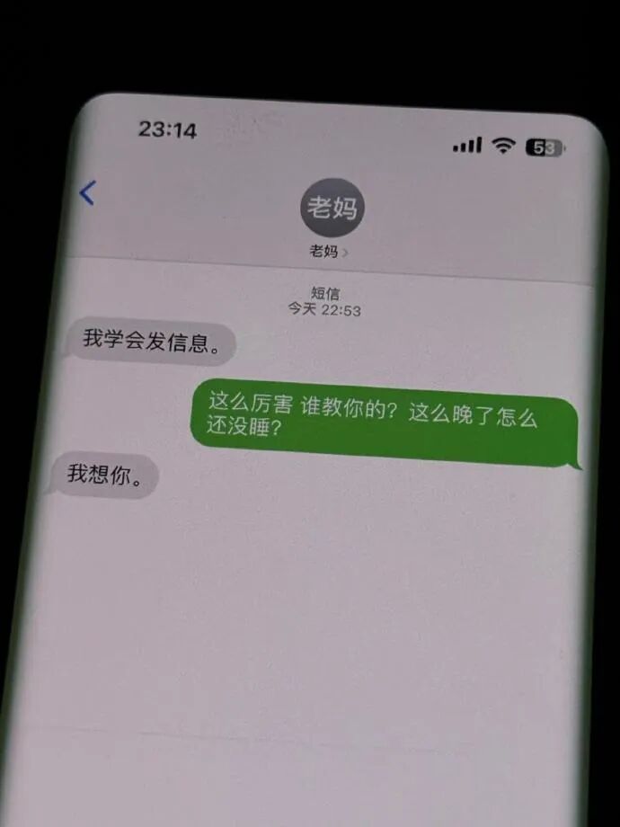Word文档图片