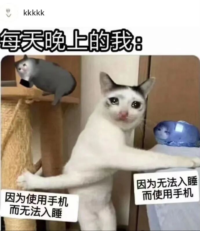 Word文档图片