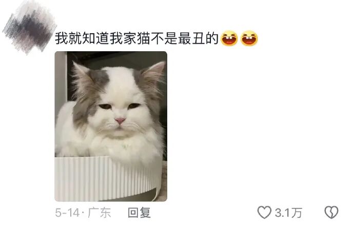 Word文档图片