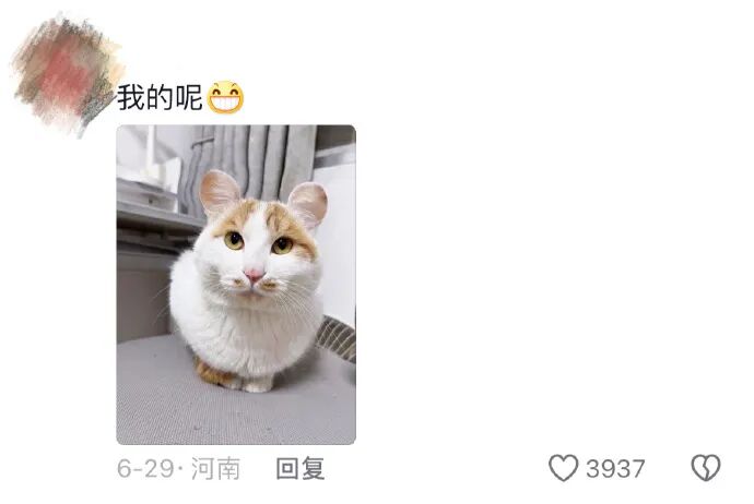 Word文档图片