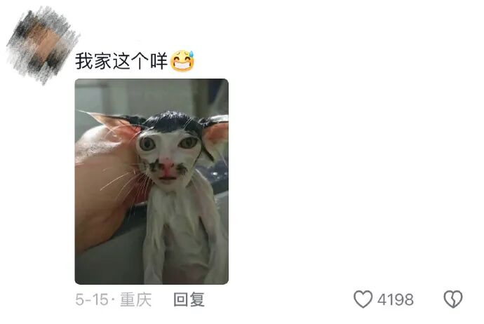 Word文档图片