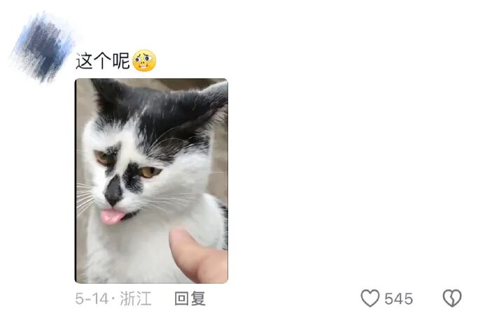 Word文档图片