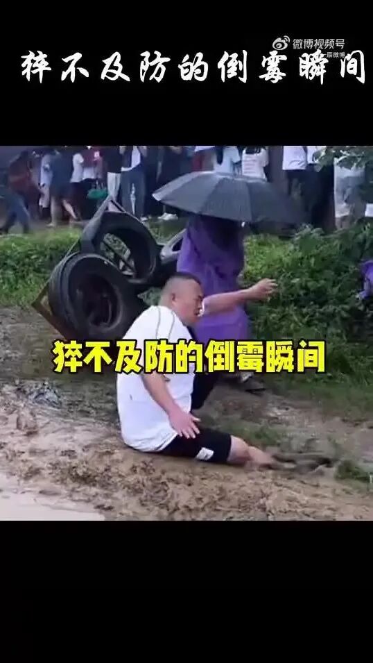 Word文档图片
