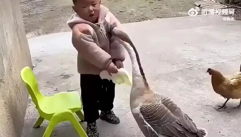 Word文档图片