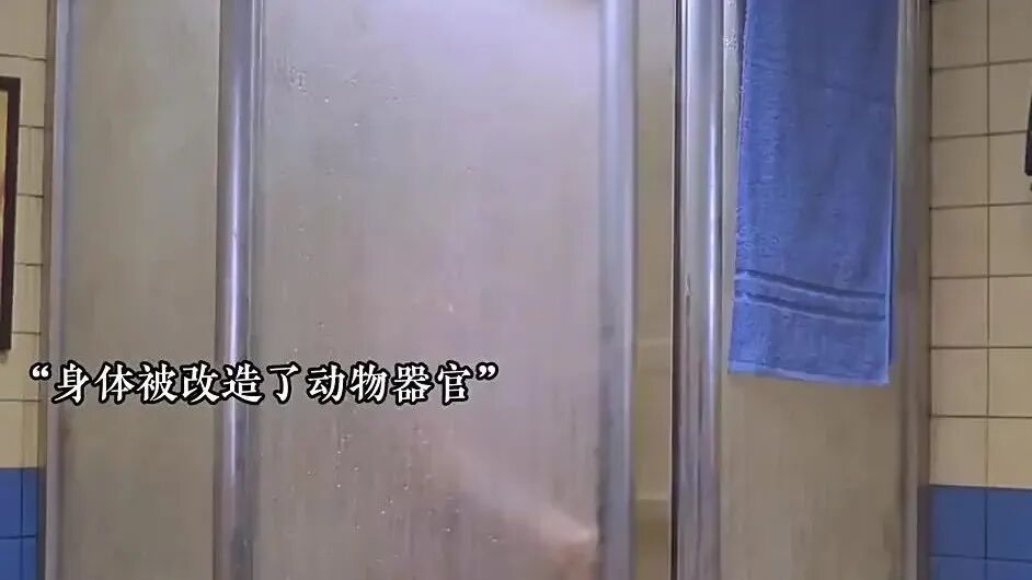 Word文档图片