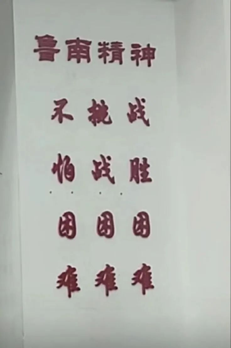 Word文档图片