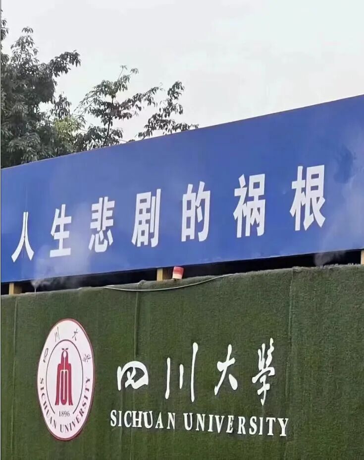 Word文档图片