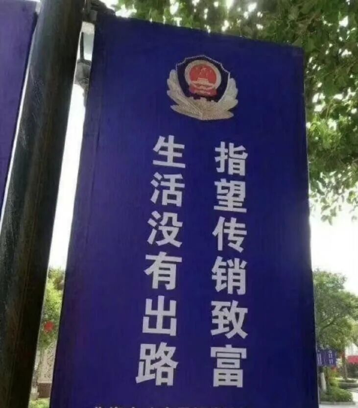 Word文档图片