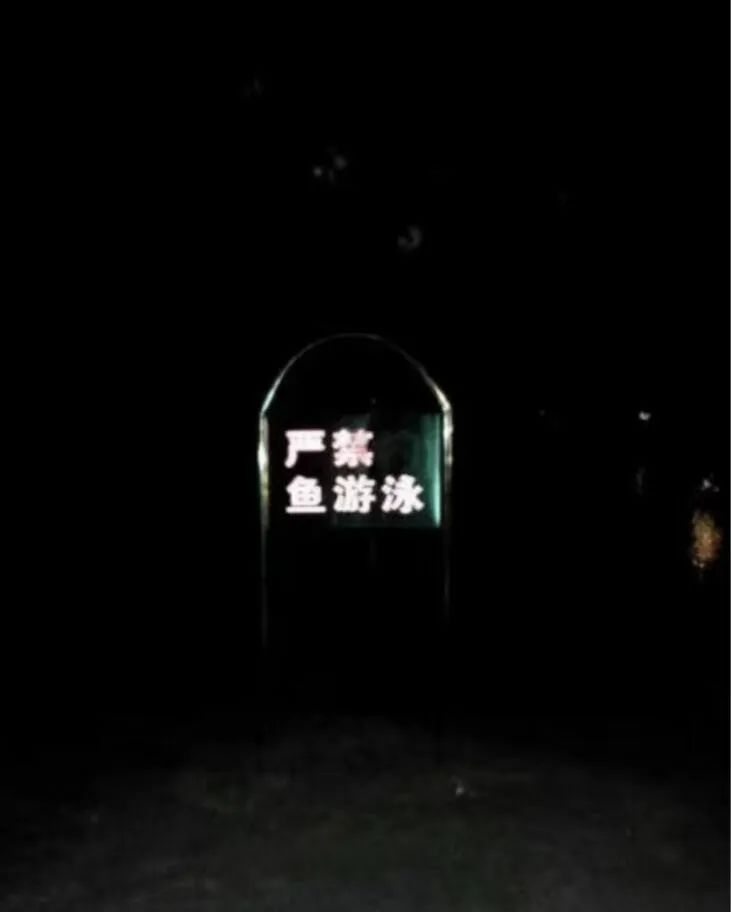 Word文档图片