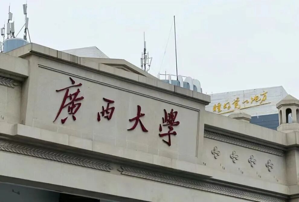 Word文档图片