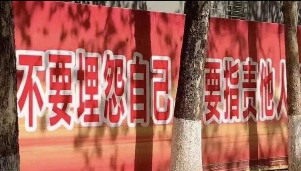 Word文档图片