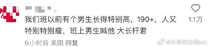 Word文档图片