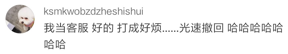 Word文档图片