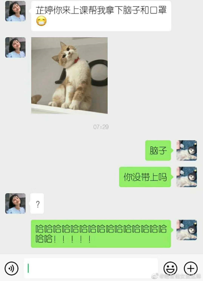 Word文档图片