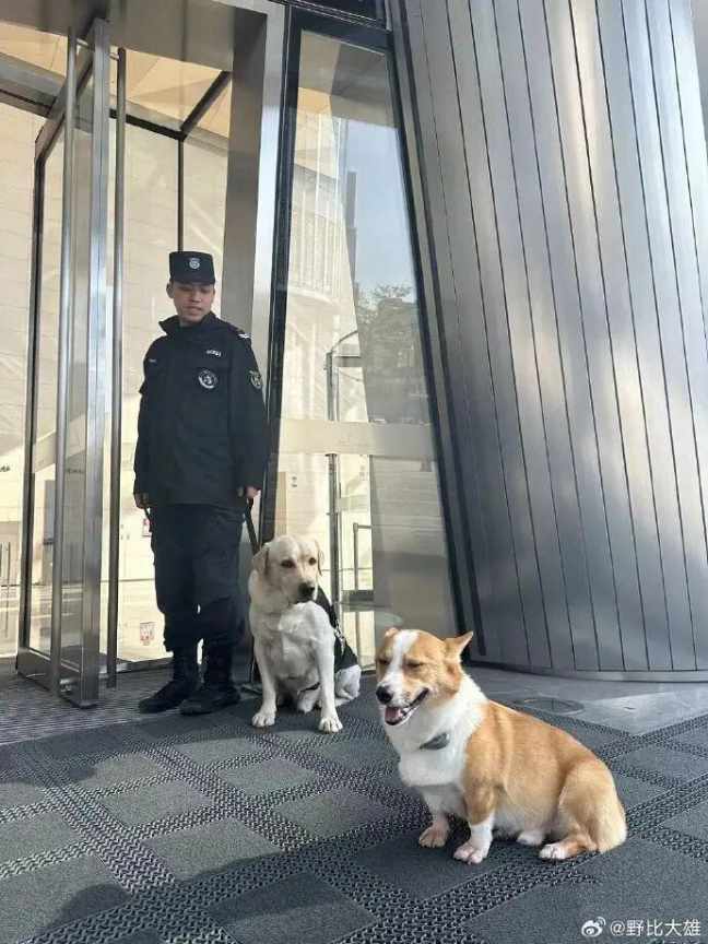 Word文档图片