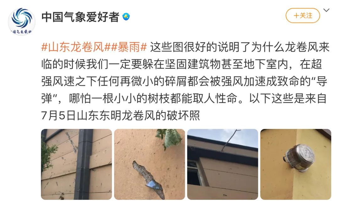 Word文档图片