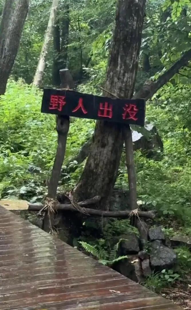 Word文档图片