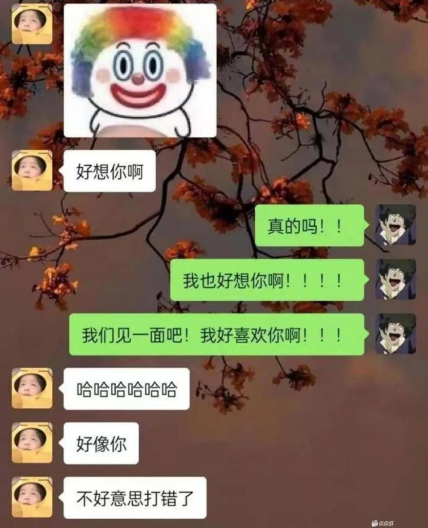 Word文档图片