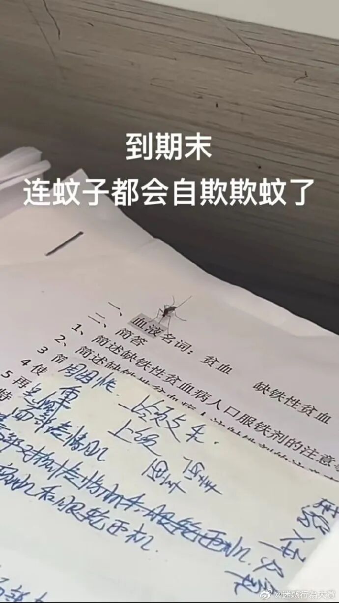 Word文档图片