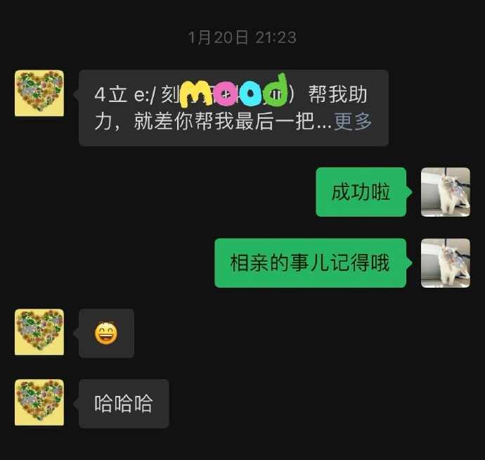 Word文档图片