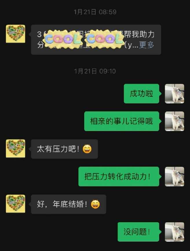 Word文档图片
