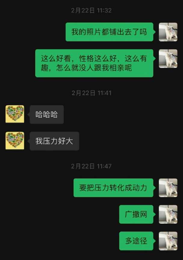 Word文档图片