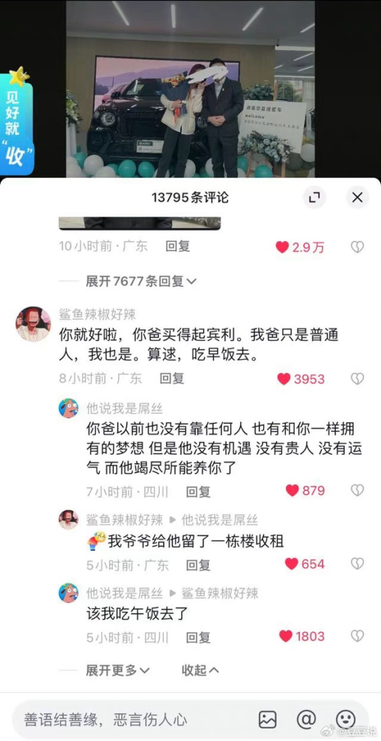 Word文档图片
