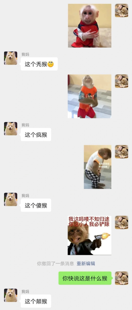 Word文档图片