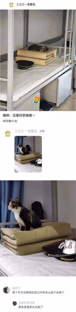 Word文档图片