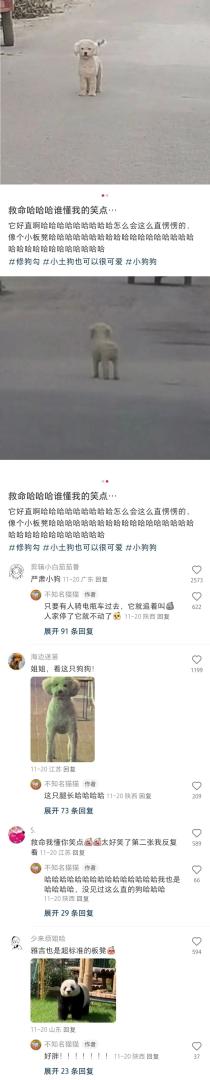 Word文档图片