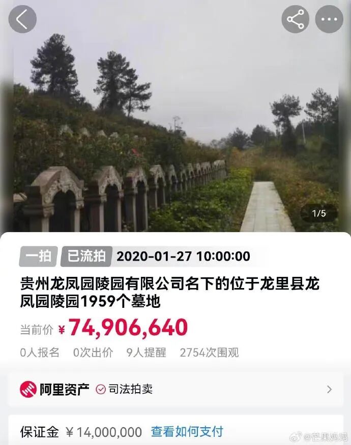 Word文档图片