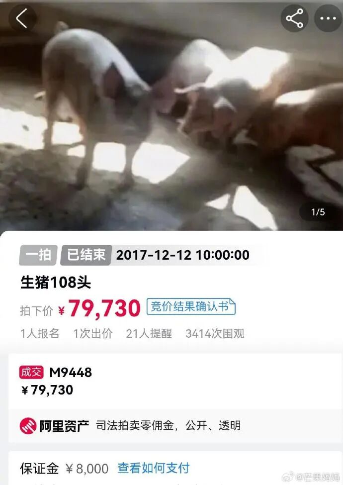 Word文档图片