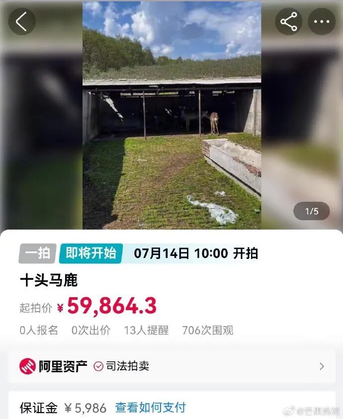 Word文档图片