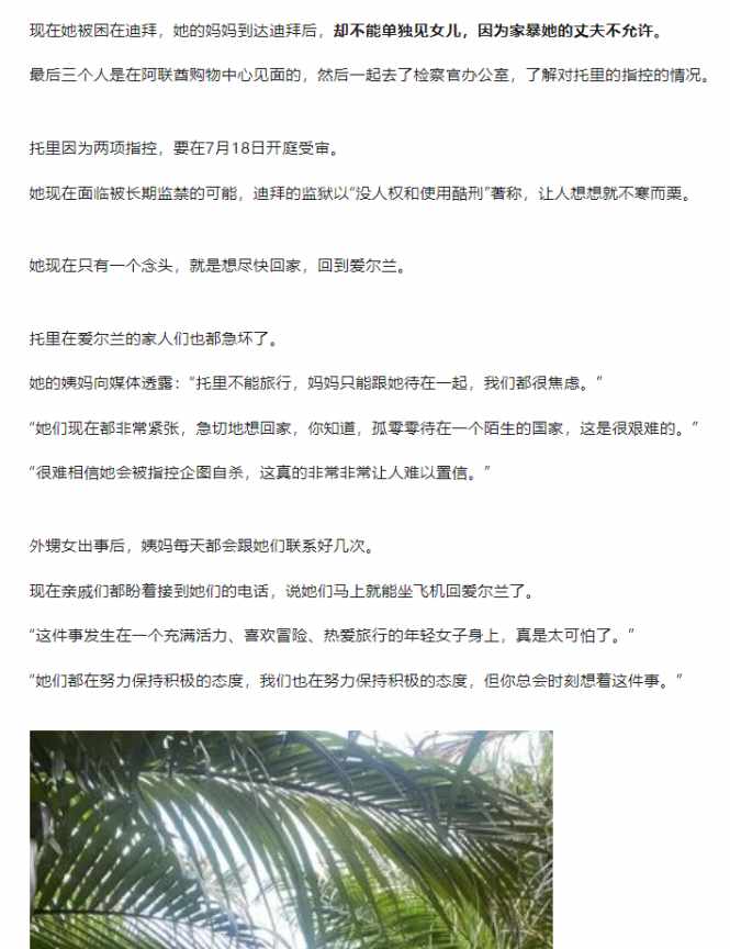 Word文档图片