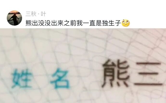 Word文档图片