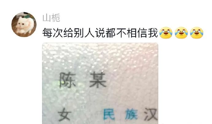 Word文档图片