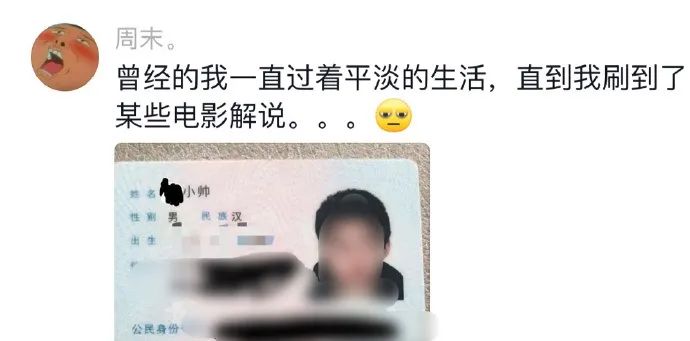 Word文档图片