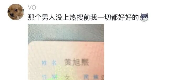 Word文档图片