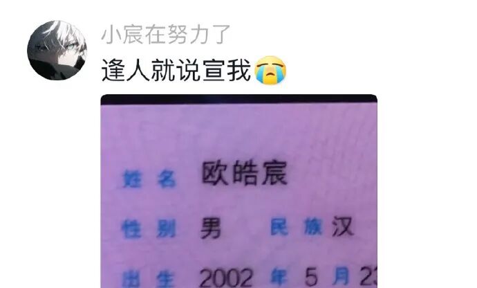 Word文档图片
