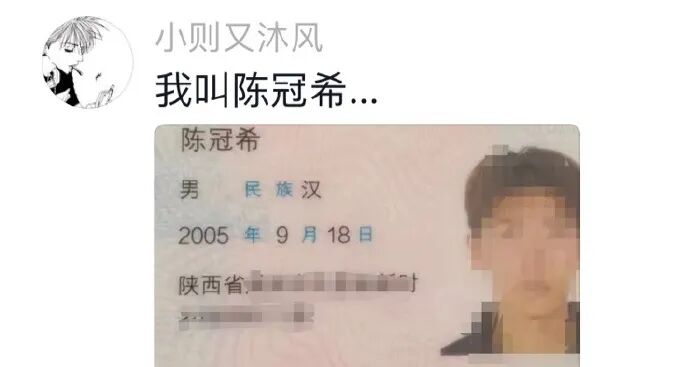 Word文档图片