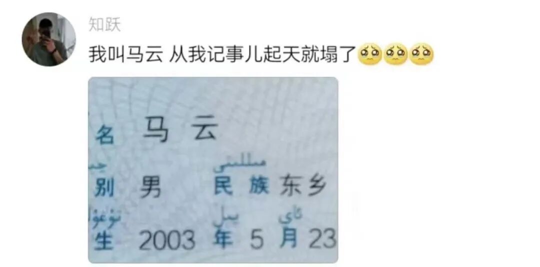 Word文档图片